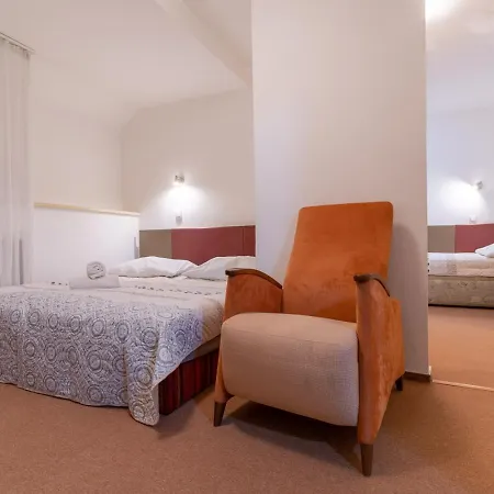 Sykovec Guest house *
