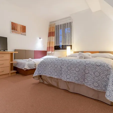 Sykovec Guest house *