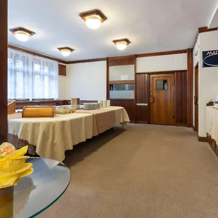 Sykovec Guest house *